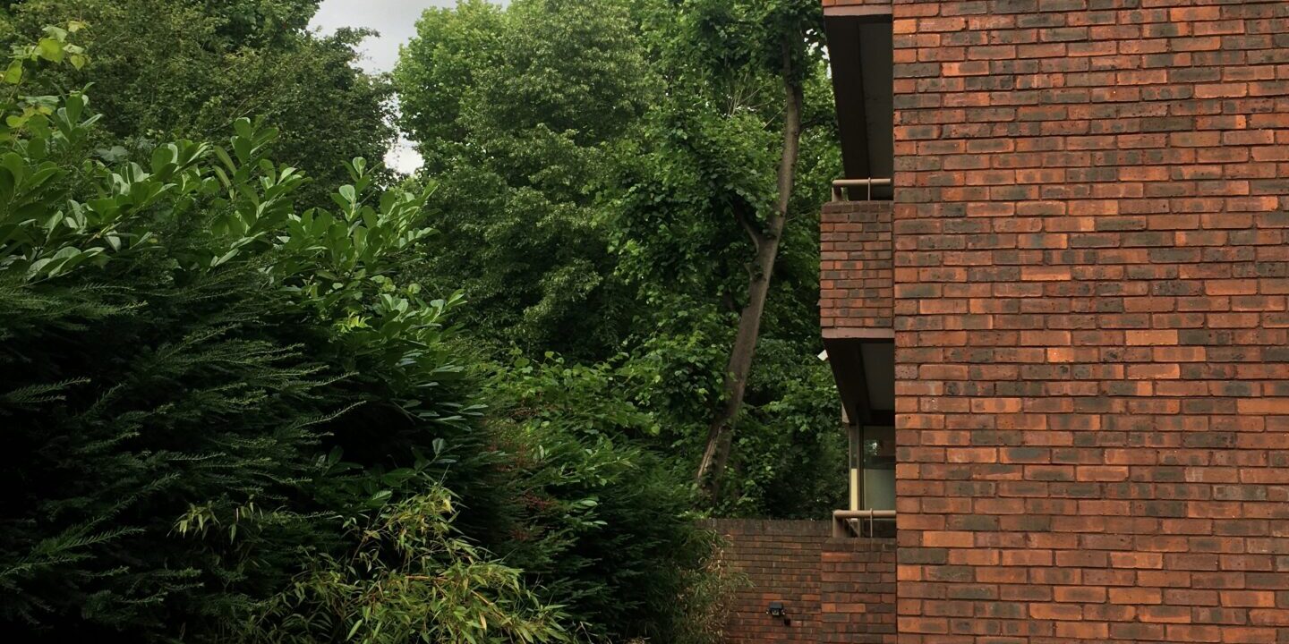 Photo 27-06-2022, 17 02 52