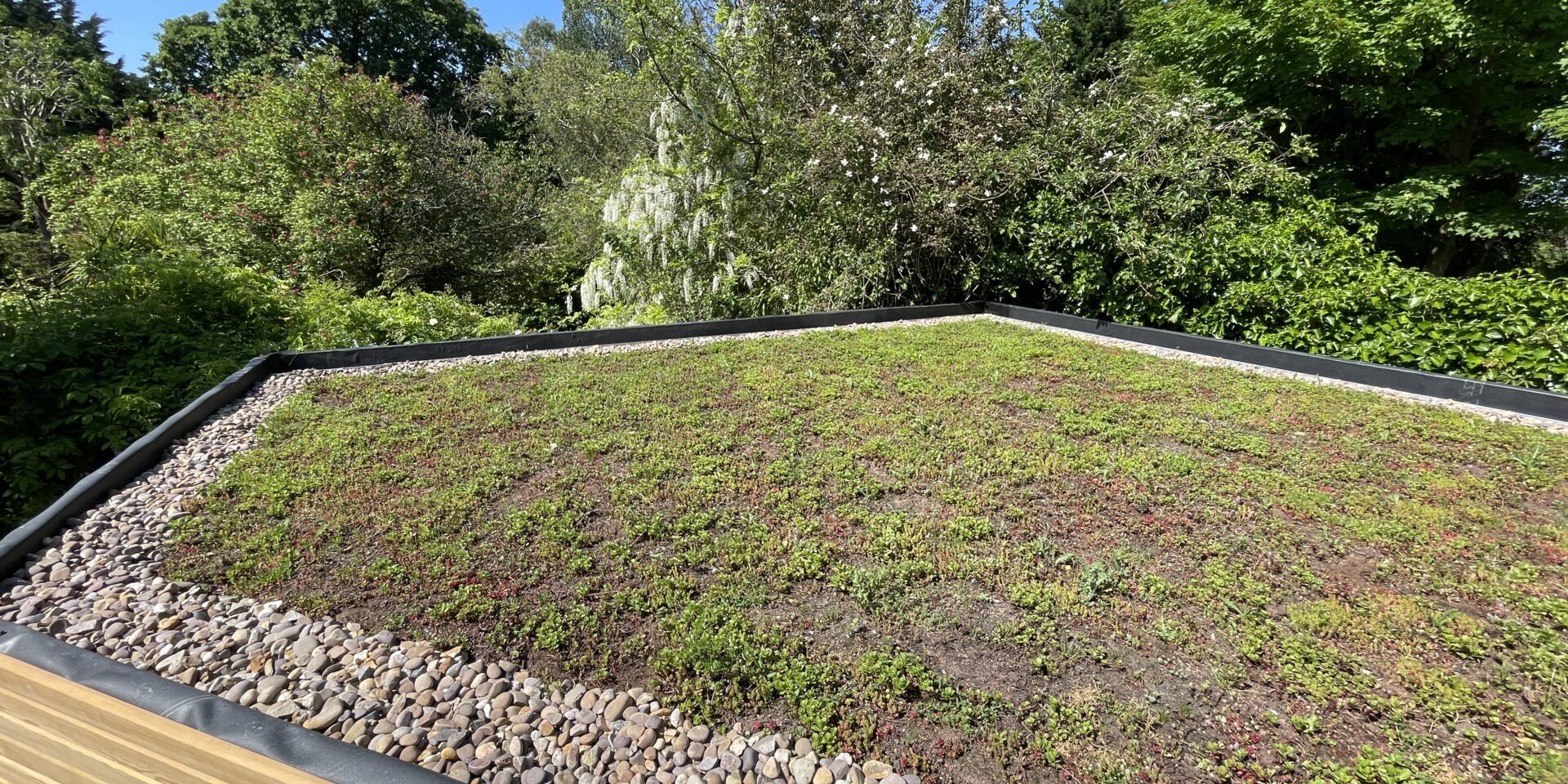 Photo 20-05-2024, 10 53 44