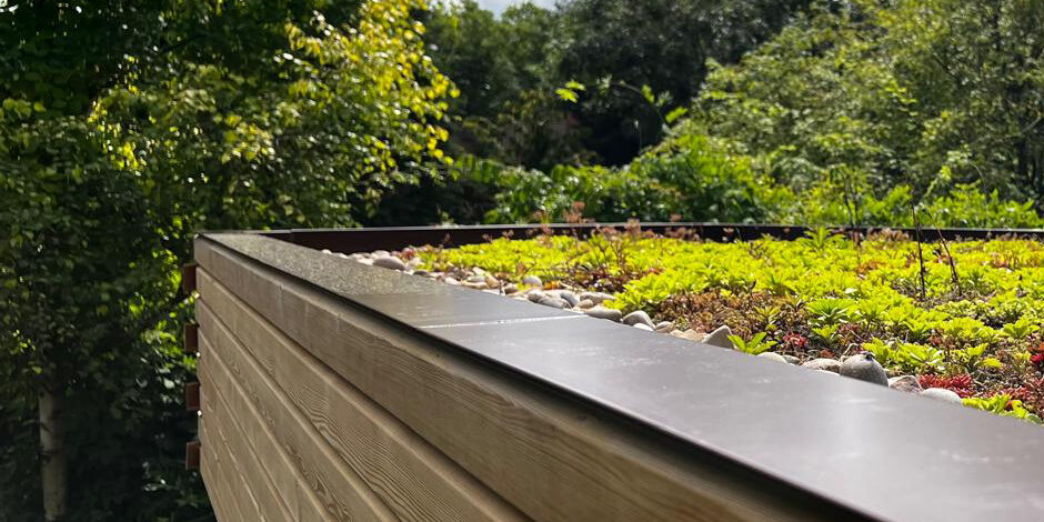 17_ARTS & CRAFTS LIVING_Sanya Polescuk Architects